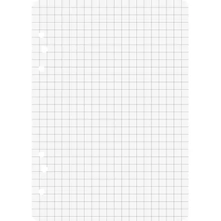 Brunnen 106620201 Ringbucheinlagen A6 kariert, 50 Blatt,