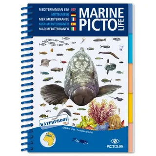Pictolife Mediterranean Marine Führer - One Size