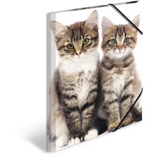 3 HERMA Zeichenmappen DIN A3 Katzen