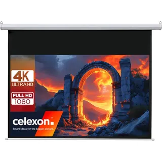 Leinwandking Motorleinwand 240x135 16:9