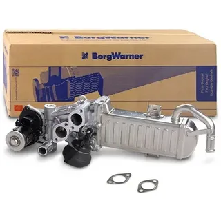 BorgWarner AGR-Modul OE-Version/Erstausrüstung mit Dichtungen