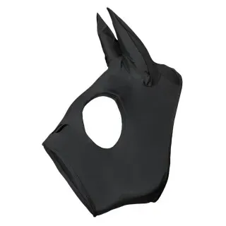 Back on Track Spirit M