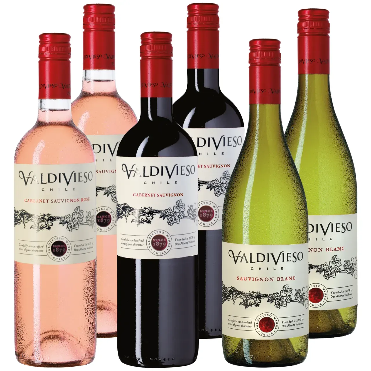 "Chilenische Weinampel" 3x2 Weine der Viña Valdivieso