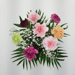 Blumenstrauß -klassischer Nelkentraum- mit kostenloser Glückwunschkarte/handgeschrieben
