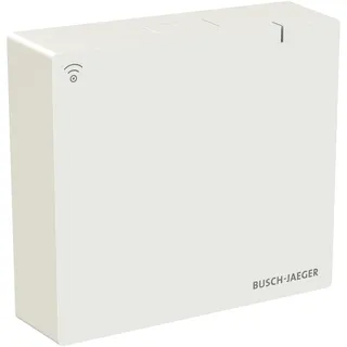 Busch-Jaeger System Access Point SAP.13-WL 2CKA006200A0967 3 St.