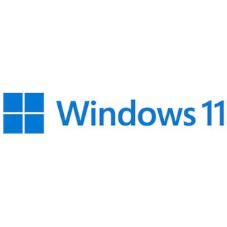 Microsoft Windows 11 Pro EN