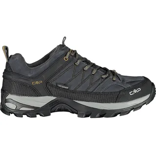 Antracite/Arabica 40