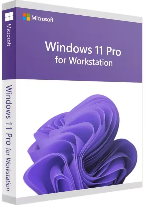 Windows 11 Professional für Workstation