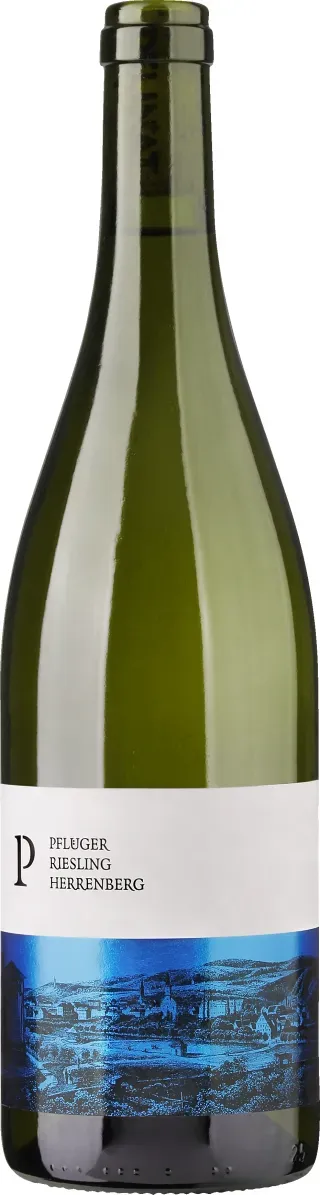 Riesling Ungsteiner Herrenberg Qualitätswein Pfalz 2022, Bio Weisswein, Biowein