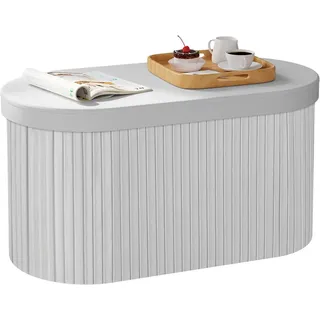 Woltu Sitzbank Faltbare Sitztruhe mit Stauraum, Aufbewahrungsbank mit Deckel, Polsterbank für Schlafzimmer Wohnzimmer Flur, aus Samt mdf, 76x38x38 cm,