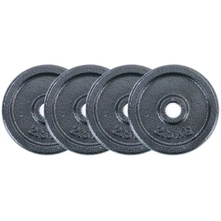 RAMROXX 10 kg Set 4x2,5 kg Gusseisen Hantel Gewicht versiegelt 28mm