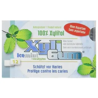 xyli gum Kaugummi - Icemint 16,8g