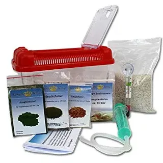 Triops King Urzeitkrebse Einsteiger Set II 150 Eier und einem grünen Deckel - Inkl. Futter, Anleitung, Sand, Thermometer, Triopseiern der Art Longicaudatus und vielem mehr