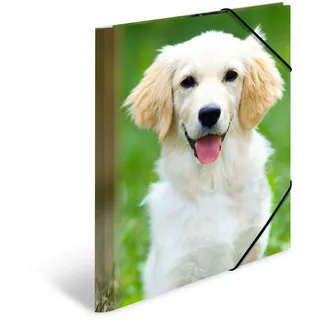 A4 hunde