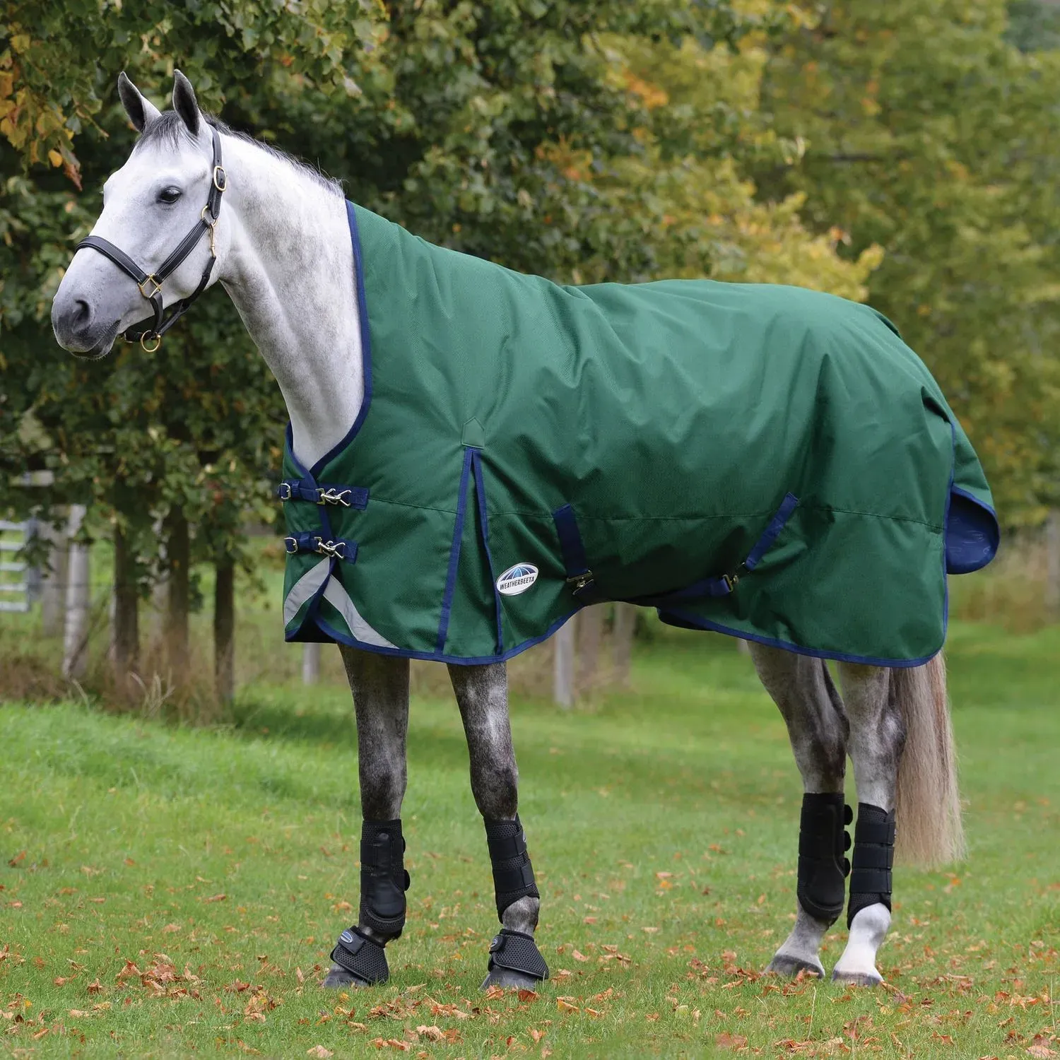 Weatherbeeta Comfitec Plus Dynamic II High Neck Lite 0g - hunter/navy, 165