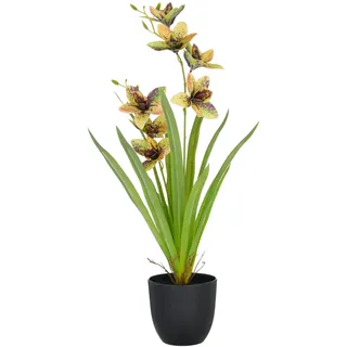 CREATIV green künstliche Orchidee Cymbidium grün-gelb 55cm im Kunststofftopf 11,5x10,5cm I künstliche Orchidee mit grün-gelben Blüten wie echt im Topf I Pflegeleichte & täuschend echte Kunstblumen