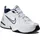White/Metallic Silver 43