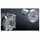 Rittal Federmutter M6 DK 7000 990 VE50