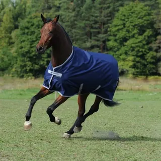 Bucas Freedom Turnout Light - Navy/Silver,