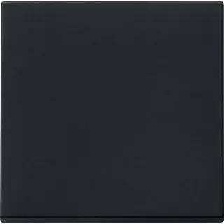 Gira Wippe sw 0296005