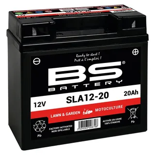 BS Battery SLA12-20 20 Ah 21 A