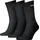 Crew SOCK 3P