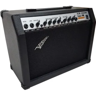 E-Gitarrenverstärker Verstärker für Elektrogitarre 65 Watt Distortion, Echo, AUX, FM, Master