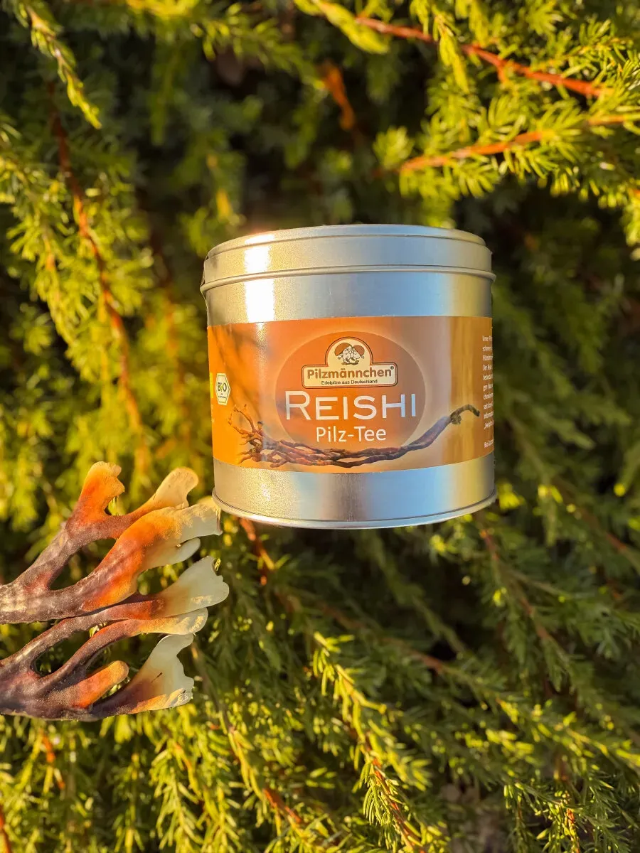 Reishi Pilz-Tee Bio, DE-ÖKO-021, 60 g
