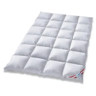 betten-traum-land Canada Außensteg Kassettendecke 100% Natur warme Winterdecke Daunendecke (155 x 220 cm)