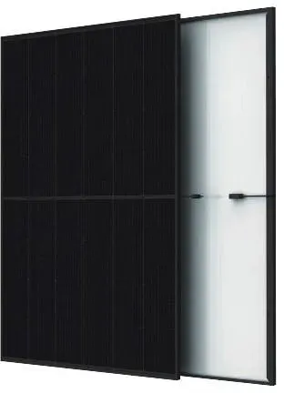 Trina Glas-Glas in Fullblack: Vertex S+, 450Wp, TSM-450NEG9R.25