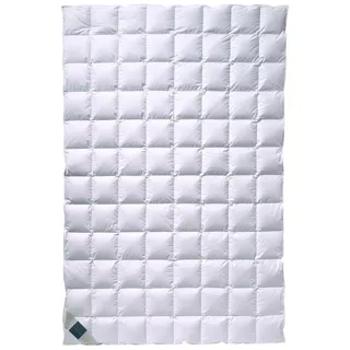 billerbeck Nena Superlight Daunendecke - 155x220cm