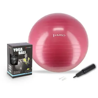 HMS yb01 Neu 65cm Pflaumen-Gymnastikball HMS