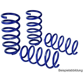 H&R Fahrwerksatz, Federn für AUDI A4 B6 B7