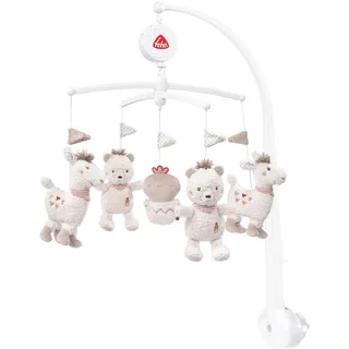 Fehn Peru Musikmobile