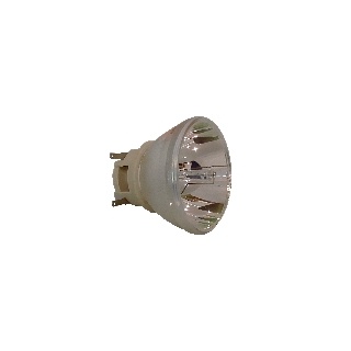 Nackte Philips Lampe ACER D1P1909 NLMP24994
