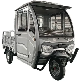CARGO TRIKE 3000W 72V 58AH Vollkabine VOLTA VT5 Silber 50km Lastendreirad 25 kmh