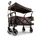 Premium Bollerwagen FX-CT850 Braun