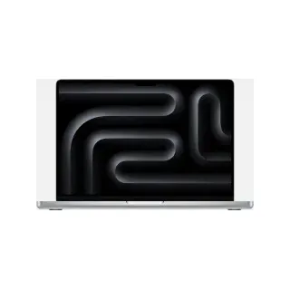 2024 M4 Pro 24 GB RAM 1 TB SSD 16-Core GPU Silber CZ1FB-001001