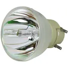 Nackte Philips Lampe ACER H6555AKi NLMP25155