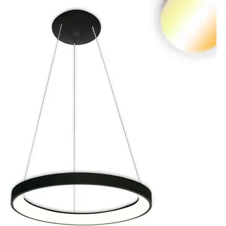 ISOLED LED Hängeleuchte Orbit 480, schwarz, 38W, rund, ColorSwitch 300035004000K, dimmbar