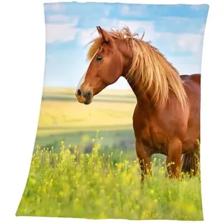 Herding Kinderdecke Pferd 130 x 160 cm bunt