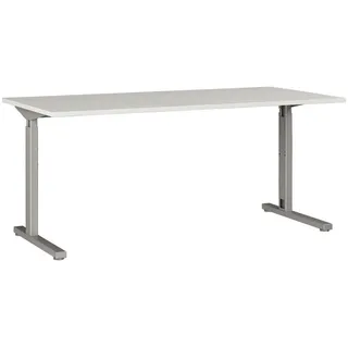 GW-Profi 2.0 160 cm lichtgrau/silber