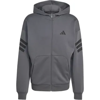 adidas Future Icons 3-Streifen Kapuzenjacke Herren Grau 3XL