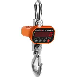 Steinberg Systems Kranwaage - 5000 kg 1 oder 2 kg - LED