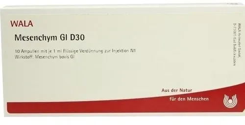 MESENCHYM GL D 30 Ampullen 10 ml