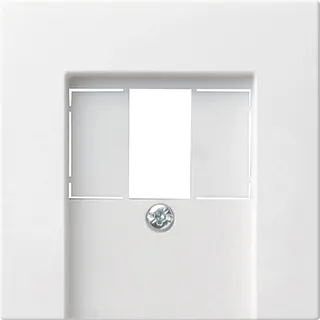 Gira Zentralabdeckung rws-gl f.TAE-Anschlußdose 027603