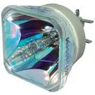 Nackte Philips Lampe SONY VPL-VW570ES NLMP23569