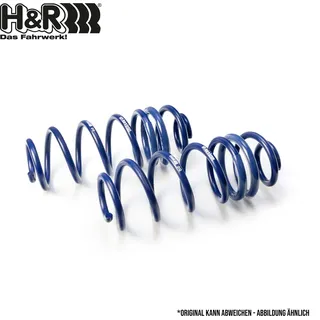 H&R Fahrwerksatz Federn für BMW 5