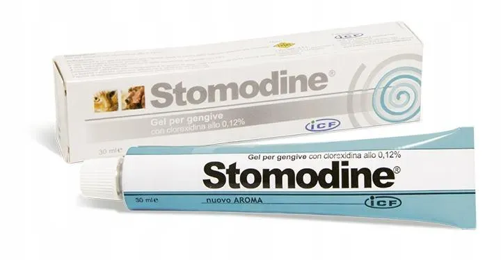 GEULINCX Stomodin 30ml Paste