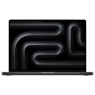 2024 M4 Max 64 GB RAM 1 TB SSD 40-Core GPU Space Schwarz